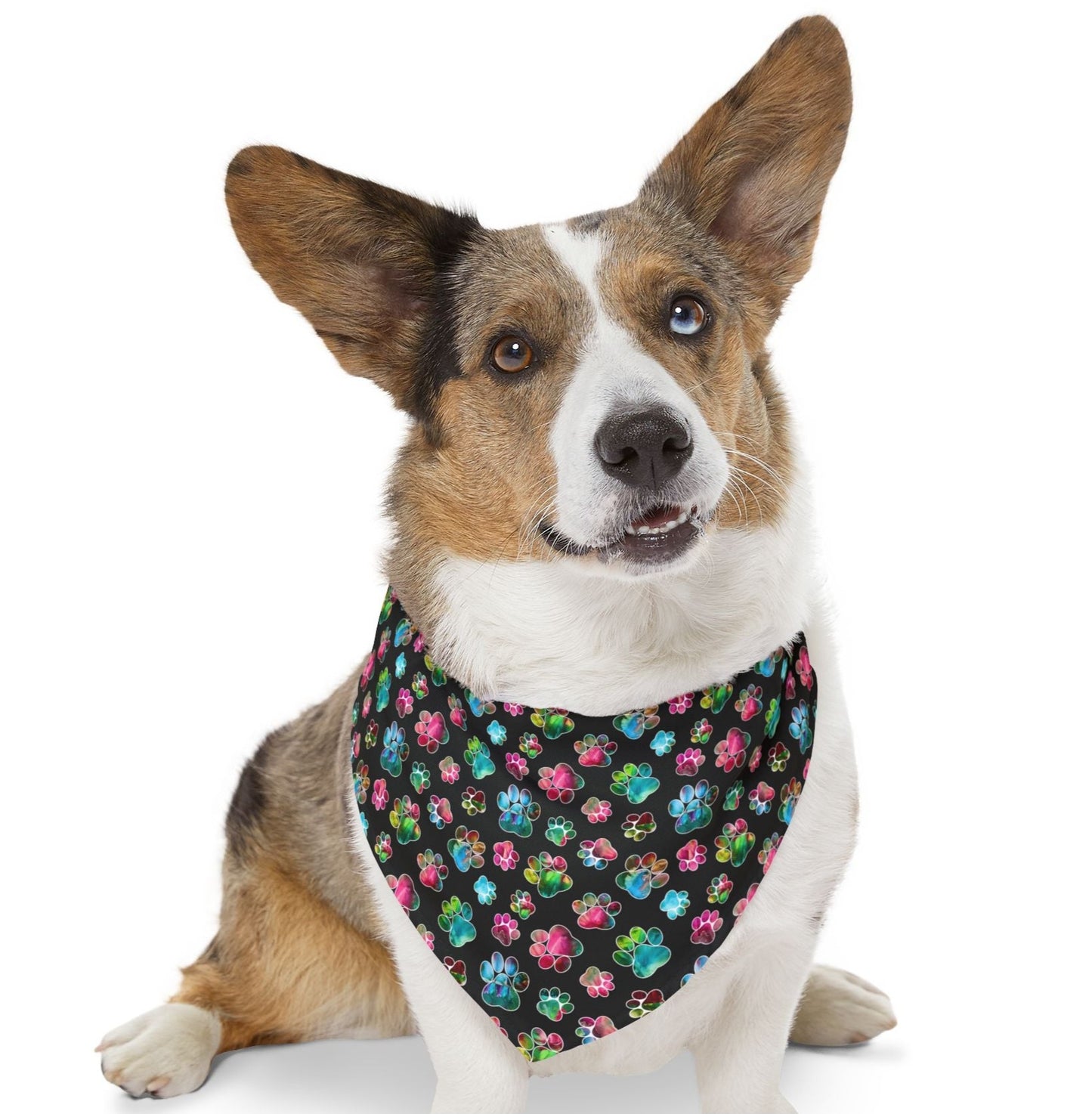 Angel Paws Pet Bandana Collar