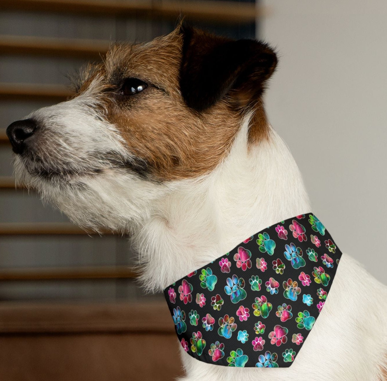 Angel Paws Pet Bandana Collar