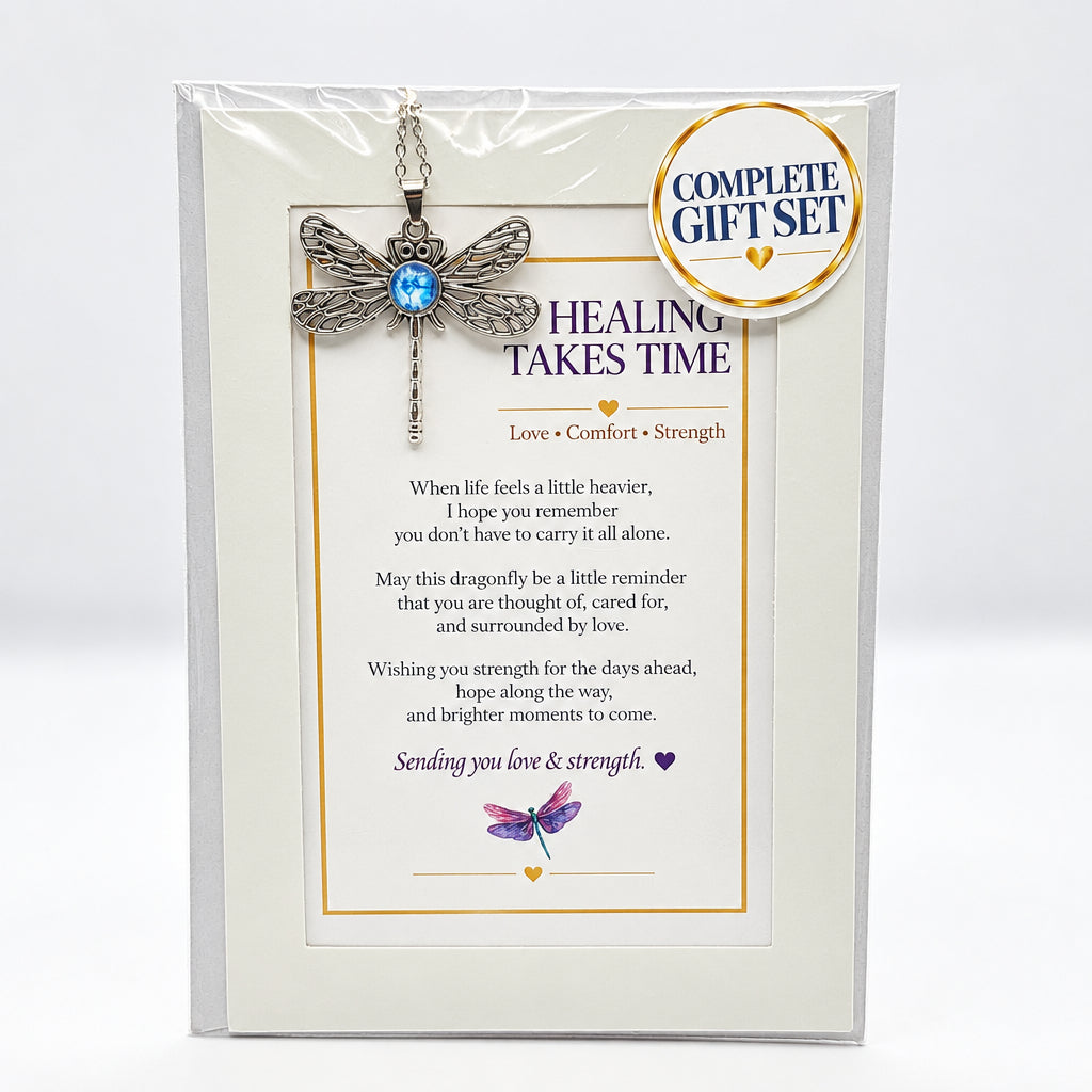 Healing Takes Time Dragonfly Pendant Gift Set