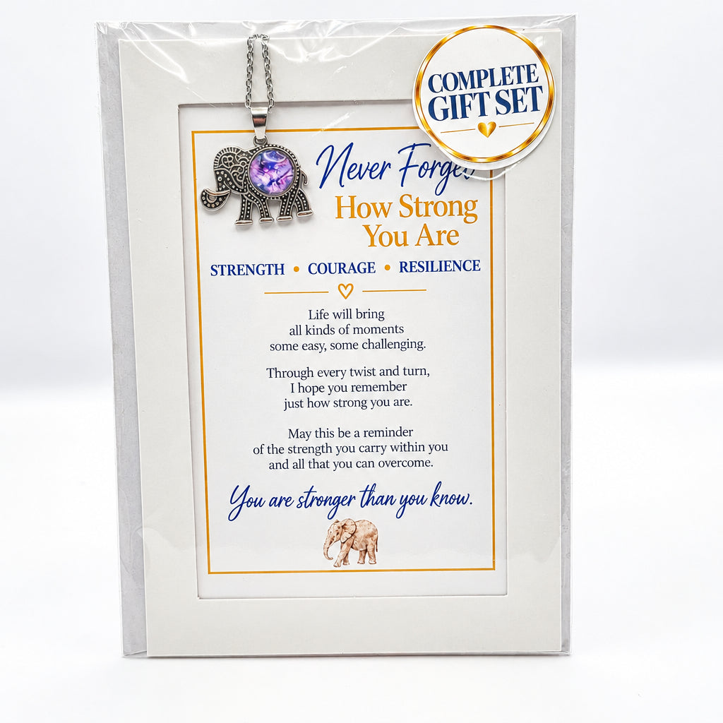 Never Forget How Strong You Are Elephant Pendant Gift Set