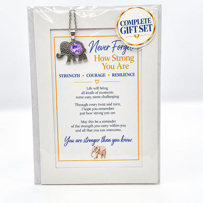 Never Forget How Strong You Are Elephant Pendant Gift Set